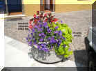 2010_002.jpg (187684 byte)
